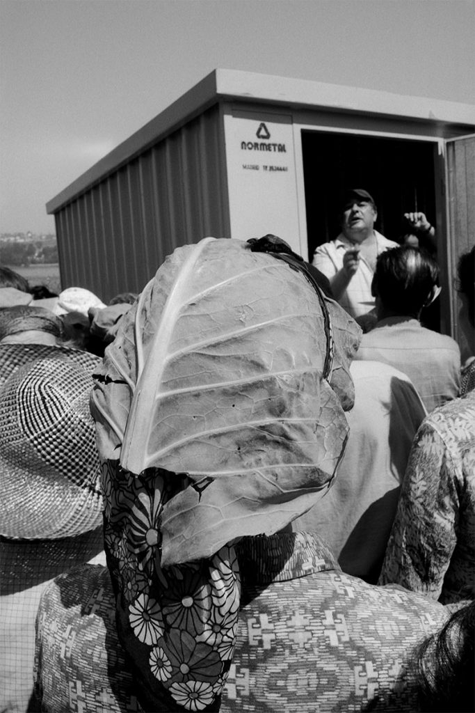 mujeres mercado pescado interior trabajo anna turbau fotografia documental